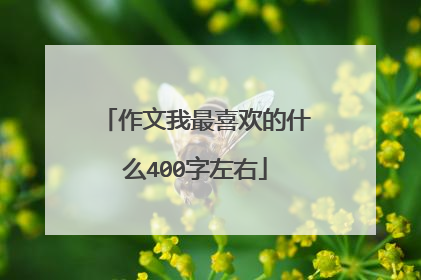 作文我最喜欢的什么400字左右