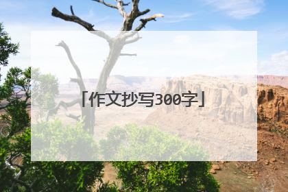 作文抄写300字