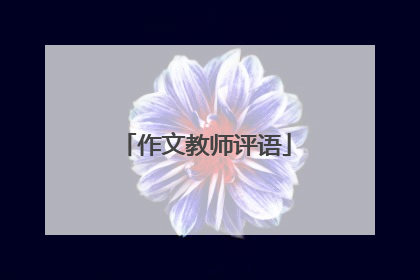 作文教师评语