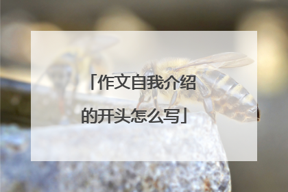 作文自我介绍的开头怎么写