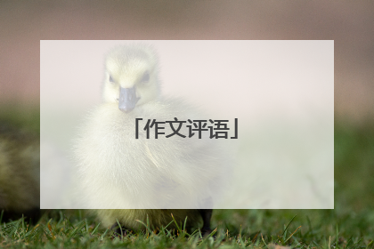 作文评语