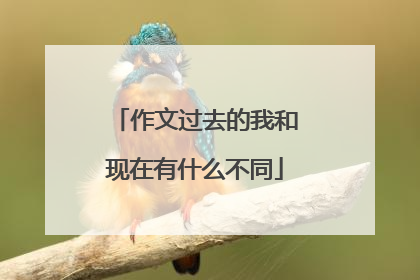 作文过去的我和现在有什么不同