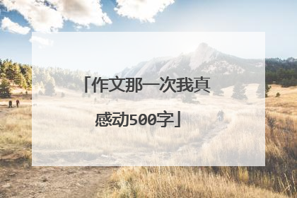 作文那一次我真感动500字