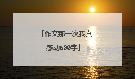 作文那一次我真感动600字