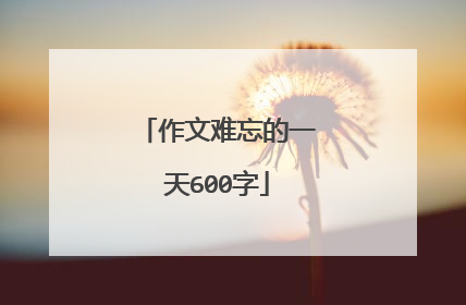 作文难忘的一天600字