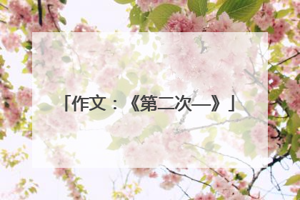 作文:《第二次——》