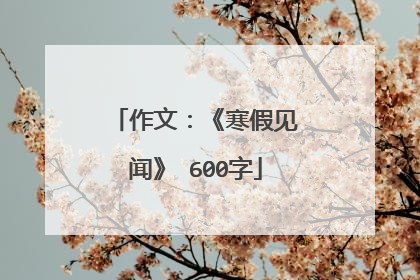作文:《寒假见闻》 600字