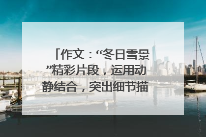 作文：“冬日雪景”精彩片段，运用动静结合，突出细节描写，100以上