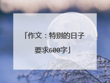 作文：特别的日子 要求600字