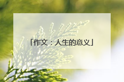 作文:人生的意义