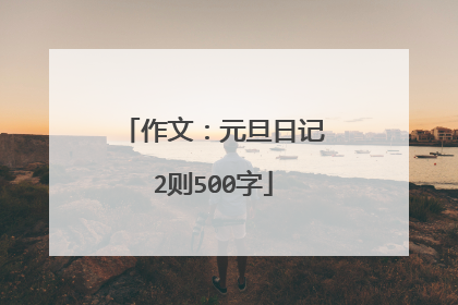 作文：元旦日记2则500字