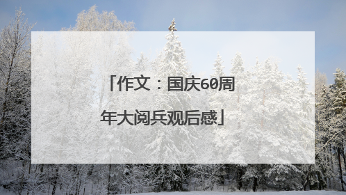 作文：国庆60周年大阅兵观后感