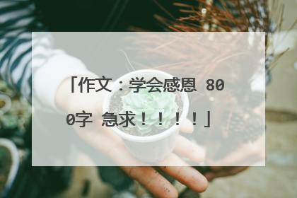 作文：学会感恩 800字 急求！！！！