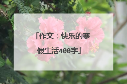 作文:快乐的寒假生活400字