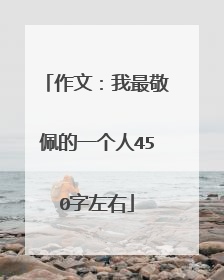 作文:我最敬佩的一个人450字左右