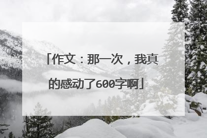 作文:那一次,我真的感动了600字啊