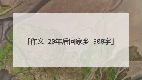 作文 20年后回家乡 500字