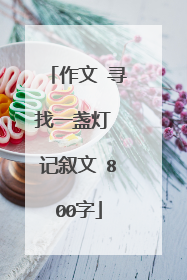 作文 寻找一盏灯 记叙文 800字