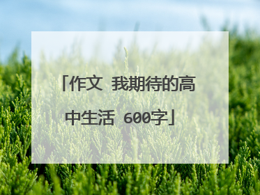 作文 我期待的高中生活 600字