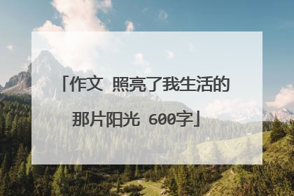 作文 照亮了我生活的那片阳光 600字