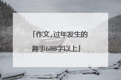 作文,过年发生的趣事600字以上