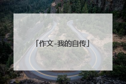 作文-我的自传