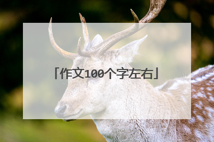 作文100个字左右