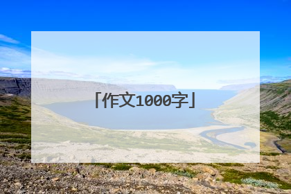 作文1000字