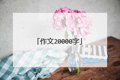 作文20000字
