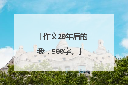 作文20年后的我,500字。