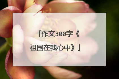 作文300字《祖国在我心中》