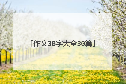 作文30字大全30篇