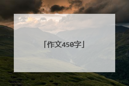作文450字