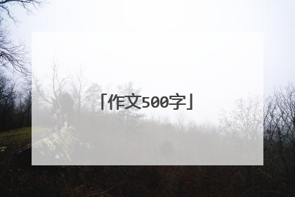 作文500字