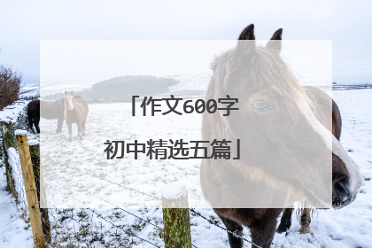 作文600字初中精选五篇