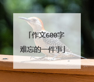 作文600字难忘的一件事