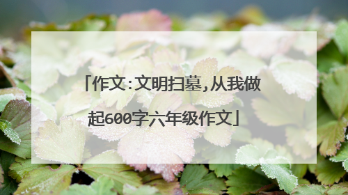 作文:文明扫墓,从我做起600字六年级作文