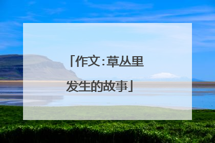 作文:草丛里发生的故事