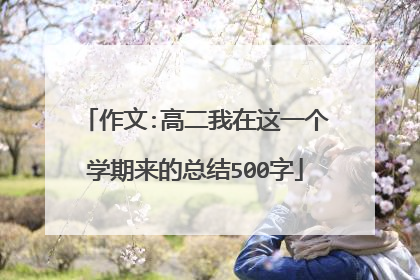 作文:高二我在这一个学期来的总结500字