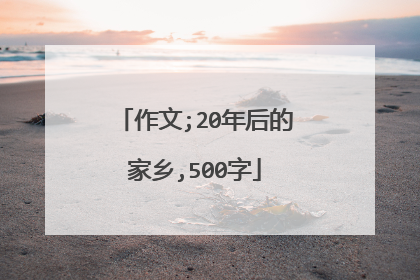 作文;20年后的家乡,500字