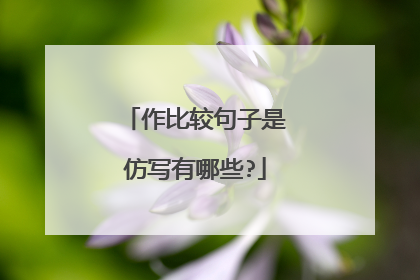 作比较句子是仿写有哪些?