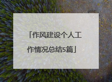 作风建设个人工作情况总结5篇