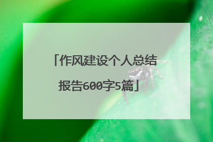 作风建设个人总结报告600字5篇