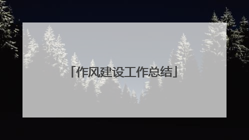 作风建设工作总结