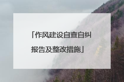 作风建设自查自纠报告及整改措施