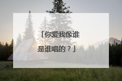 你爱我像谁是谁唱的?