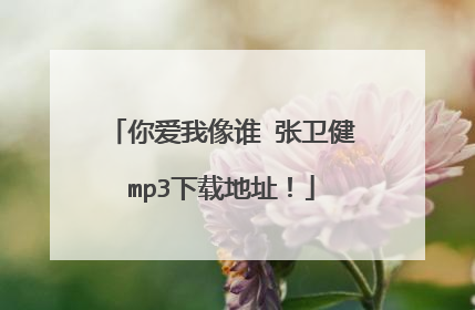 你爱我像谁 张卫健mp3下载地址!