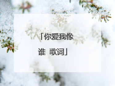 你爱我像谁 歌词