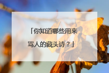 你知道哪些用来骂人的藏头诗？