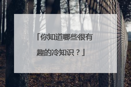 你知道哪些很有趣的冷知识?